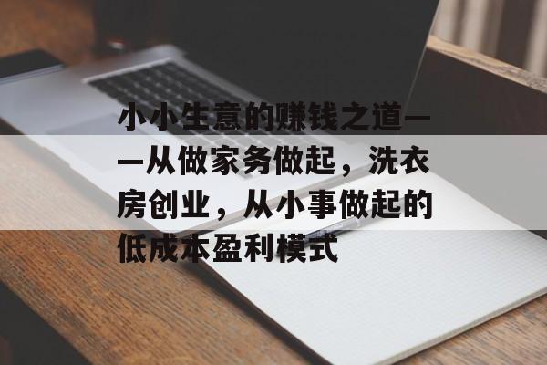 小小生意的赚钱之道——从做家务做起,洗衣房创业,从小事做起的低成本盈利模式 小小生意的赚钱之道——从做家务做起,洗衣房创业,从小事做起的低成本盈利模式