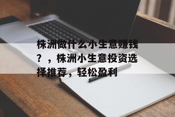 株洲做什么小生意赚钱?,株洲小生意投资选择推荐,轻松盈利 株洲做什么小生意赚钱?,株洲小生意投资选择推荐,轻松盈利