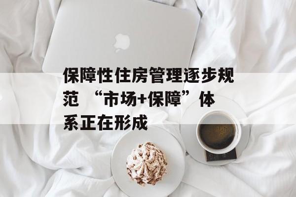 保障性住房管理逐步规范 “市场+保障”体系正在形成 保障性住房管理逐步规范 “市场+保障”体系正在形成
