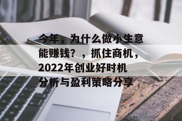今年,为什么做小生意能赚钱?,抓住商机,2022年创业好时机分析与盈利策略分享 今年,为什么做小生意能赚钱?,抓住商机,2022年创业好时机分析与盈利策略分享
