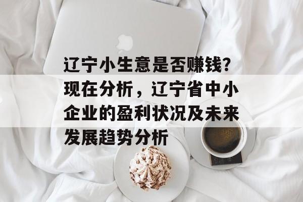 辽宁小生意是否赚钱?现在分析,辽宁省中小企业的盈利状况及未来发展趋势分析 辽宁小生意是否赚钱?现在分析,辽宁省中小企业的盈利状况及未来发展趋势分析