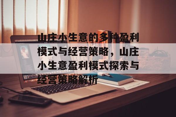 山庄小生意的多种盈利模式与经营策略，山庄小生意盈利模式探索与经营策略解析