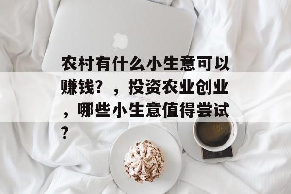 农村有什么小生意可以赚钱？，投资农业创业，哪些小生意值得尝试?
