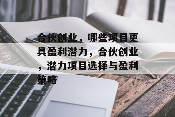 合伙创业,哪些项目更具盈利潜力,合伙创业,潜力项目选择与盈利策略 合伙创业,哪些项目更具盈利潜力,合伙创业,潜力项目选择与盈利策略