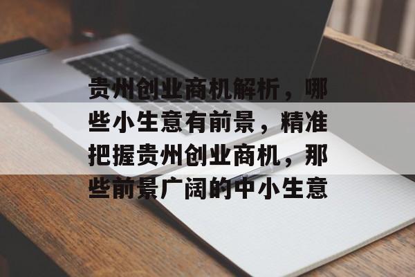 贵州创业商机解析，哪些小生意有前景，精准把握贵州创业商机，那些前景广阔的中小生意