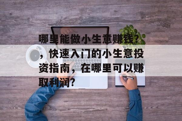 哪里能做小生意赚钱?,快速入门的小生意投资指南,在哪里可以赚取利润? 哪里能做小生意赚钱?,快速入门的小生意投资指南,在哪里可以赚取利润?