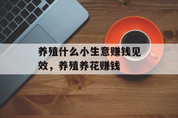 养殖什么小生意赚钱见效,养殖养花赚钱 养殖什么小生意赚钱见效,养殖养花赚钱