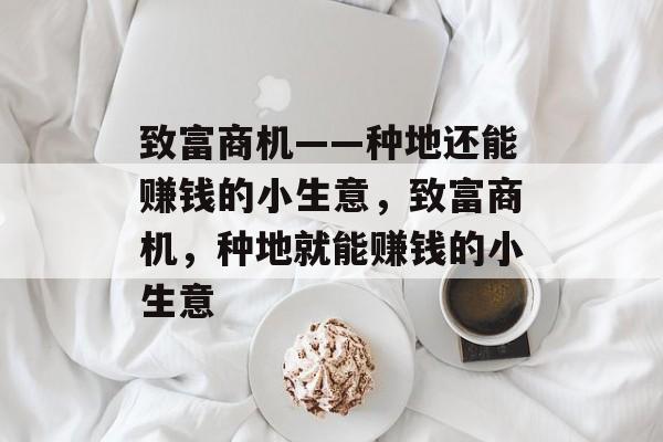 致富商机——种地还能赚钱的小生意,致富商机,种地就能赚钱的小生意 致富商机——种地还能赚钱的小生意,致富商机,种地就能赚钱的小生意