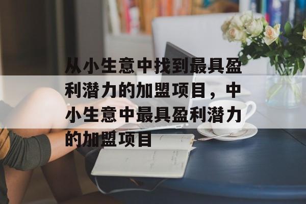 从小生意中找到最具盈利潜力的加盟项目,中小生意中最具盈利潜力的加盟项目 从小生意中找到最具盈利潜力的加盟项目,中小生意中最具盈利潜力的加盟项目
