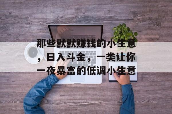 那些默默赚钱的小生意,日入斗金,一类让你一夜暴富的低调小生意 那些默默赚钱的小生意,日入斗金,一类让你一夜暴富的低调小生意
