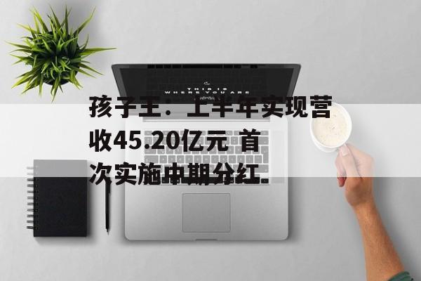 孩子王:上半年实现营收45.20亿元 首次实施中期分红 孩子王:上半年实现营收45.20亿元 首次实施中期分红