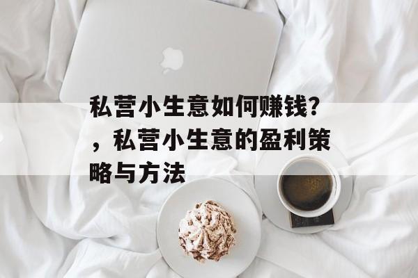 私营小生意如何赚钱?,私营小生意的盈利策略与方法 私营小生意如何赚钱?,私营小生意的盈利策略与方法