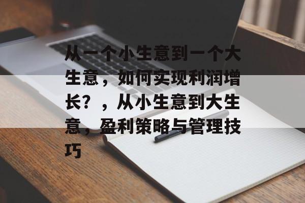 从一个小生意到一个大生意,如何实现利润增长?,从小生意到大生意,盈利策略与管理技巧 从一个小生意到一个大生意,如何实现利润增长?,从小生意到大生意,盈利策略与管理技巧