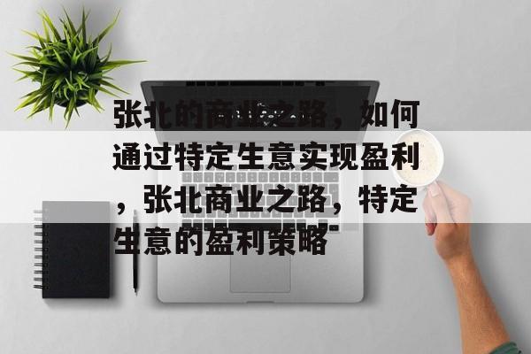 张北的商业之路，如何通过特定生意实现盈利，张北商业之路，特定生意的盈利策略