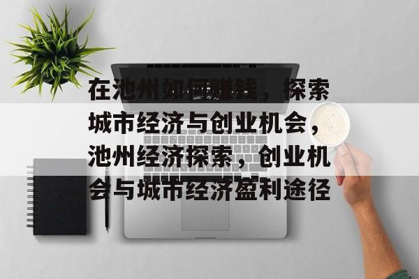 在池州如何赚钱，探索城市经济与创业机会，池州经济探索，创业机会与城市经济盈利途径