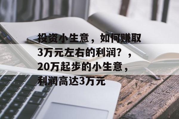 投资小生意，如何赚取3万元左右的利润？，20万起步的小生意，利润高达3万元
