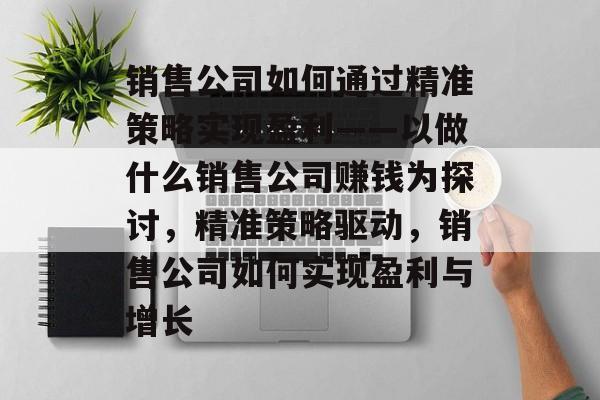 销售公司如何通过精准策略实现盈利——以做什么销售公司赚钱为探讨,精准策略驱动,销售公司如何实现盈利与增长 销售公司如何通过精准策略实现盈利——以做什么销售公司赚钱为探讨,精准策略驱动,销售公司如何实现盈利与增长