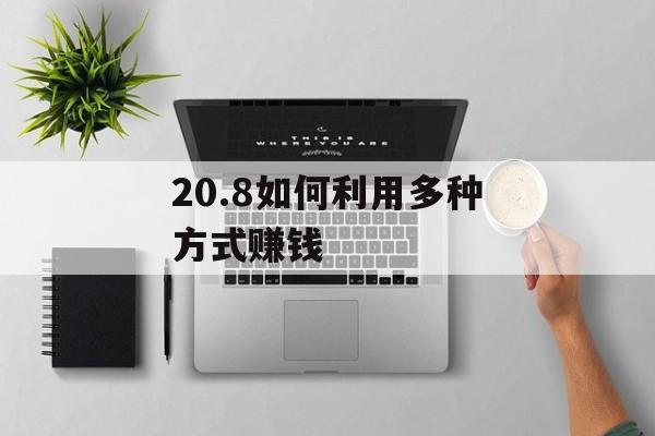 20.8如何利用多种方式赚钱 20.8如何利用多种方式赚钱