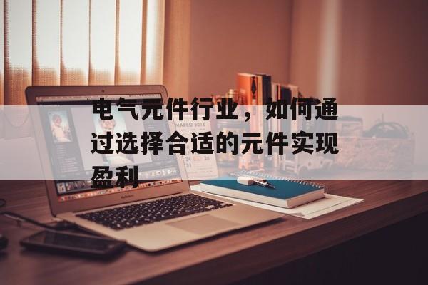 电气元件行业,如何通过选择合适的元件实现盈利 电气元件行业,如何通过选择合适的元件实现盈利