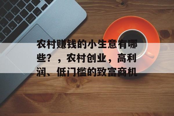 农村赚钱的小生意有哪些?,农村创业,高利润、低门槛的致富商机 农村赚钱的小生意有哪些?,农村创业,高利润、低门槛的致富商机