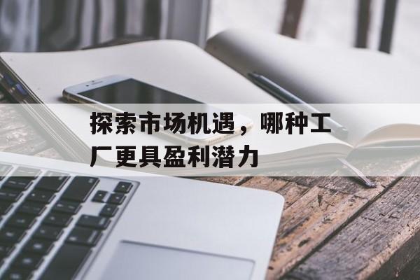 探索市场机遇，哪种工厂更具盈利潜力