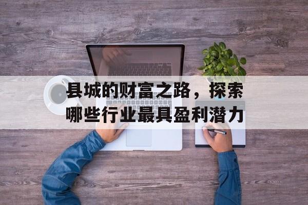 县城的财富之路,探索哪些行业最具盈利潜力 县城的财富之路,探索哪些行业最具盈利潜力
