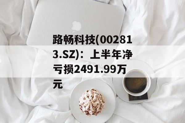 路畅科技(002813.SZ):上半年净亏损2491.99万元 路畅科技(002813.SZ):上半年净亏损2491.99万元