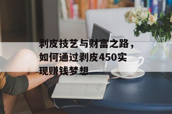 剥皮技艺与财富之路，如何通过剥皮450实现赚钱梦想