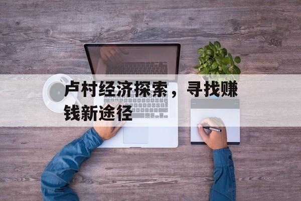 卢村经济探索,寻找赚钱新途径 卢村经济探索,寻找赚钱新途径