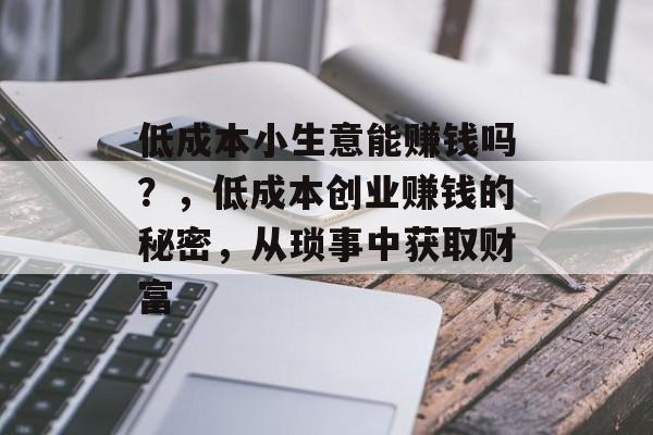 低成本小生意能赚钱吗?,低成本创业赚钱的秘密,从琐事中获取财富 低成本小生意能赚钱吗?,低成本创业赚钱的秘密,从琐事中获取财富