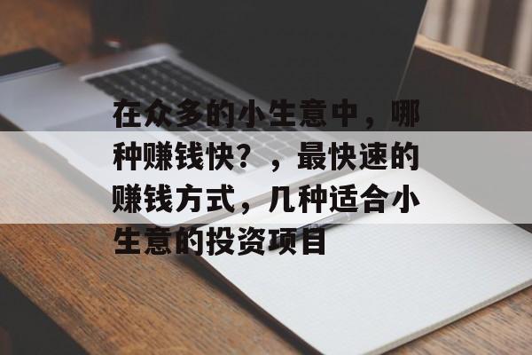 在众多的小生意中,哪种赚钱快?,最快速的赚钱方式,几种适合小生意的投资项目 在众多的小生意中,哪种赚钱快?,最快速的赚钱方式,几种适合小生意的投资项目