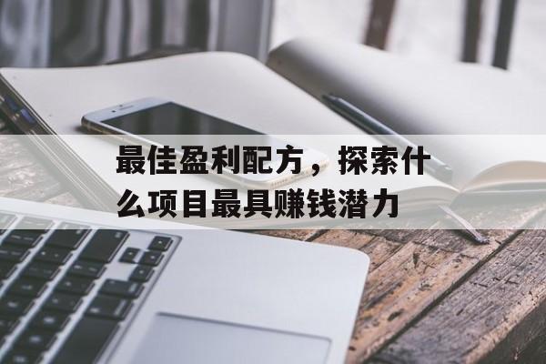 最佳盈利配方，探索什么项目最具赚钱潜力