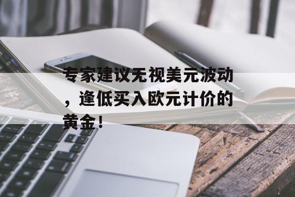 专家建议无视美元波动,逢低买入欧元计价的黄金! 专家建议无视美元波动,逢低买入欧元计价的黄金!