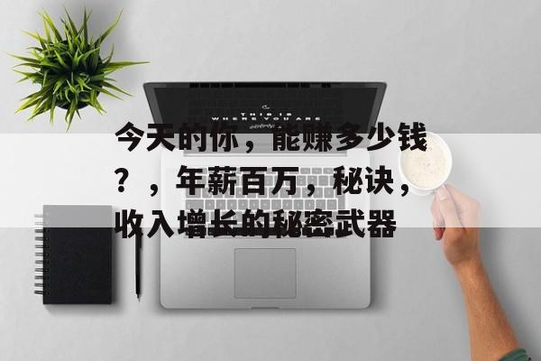 今天的你,能赚多少钱?,年薪百万,秘诀,收入增长的秘密武器 今天的你,能赚多少钱?,年薪百万,秘诀,收入增长的秘密武器