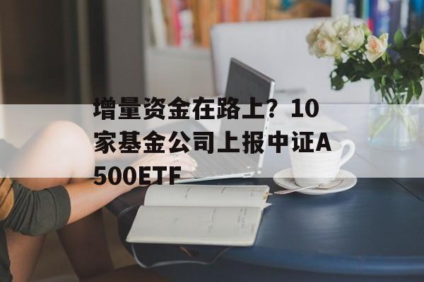 增量资金在路上?10家基金公司上报中证A500ETF 增量资金在路上?10家基金公司上报中证A500ETF