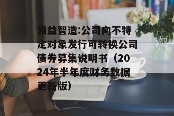 领益智造:公司向不特定对象发行可转换公司债券募集说明书(2024年半年度财务数据更新版) 领益智造:公司向不特定对象发行可转换公司债券募集说明书(2024年半年度财务数据更新版)