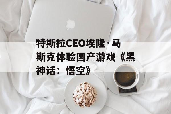 特斯拉CEO埃隆·马斯克体验国产游戏《黑神话:悟空》 特斯拉CEO埃隆·马斯克体验国产游戏《黑神话:悟空》