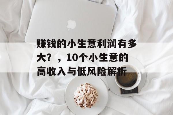 赚钱的小生意利润有多大?,10个小生意的高收入与低风险解析 赚钱的小生意利润有多大?,10个小生意的高收入与低风险解析