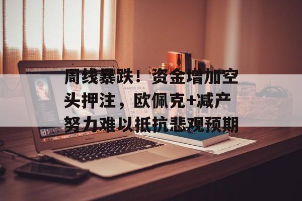 周线暴跌!资金增加空头押注,欧佩克+减产努力难以抵抗悲观预期 周线暴跌!资金增加空头押注,欧佩克+减产努力难以抵抗悲观预期