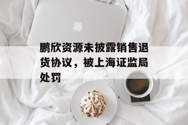 鹏欣资源未披露销售退货协议，被上海证监局处罚