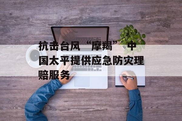 抗击台风“摩羯” 中国太平提供应急防灾理赔服务 抗击台风“摩羯” 中国太平提供应急防灾理赔服务