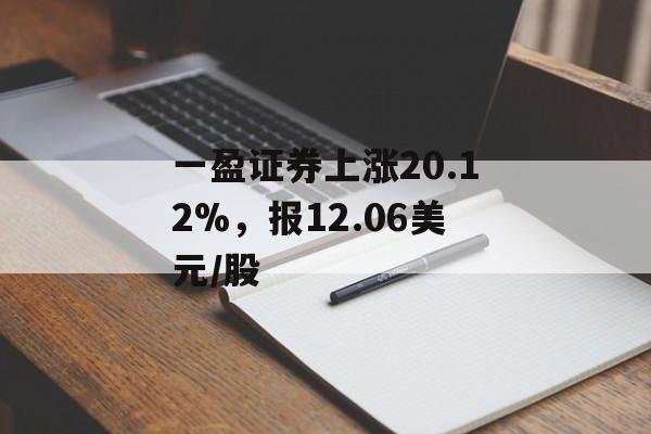 一盈证券上涨20.12%,报12.06美元/股 一盈证券上涨20.12%,报12.06美元/股