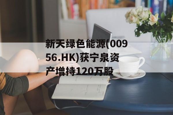 新天绿色能源(00956.HK)获宁泉资产增持120万股 新天绿色能源(00956.HK)获宁泉资产增持120万股