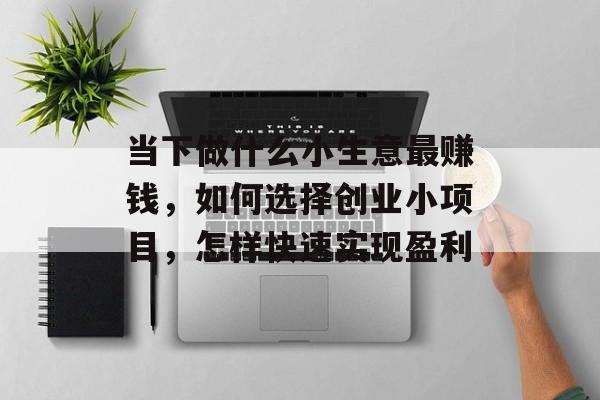 当下做什么小生意最赚钱，如何选择创业小项目，怎样快速实现盈利