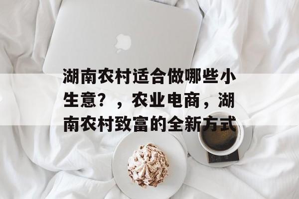 湖南农村适合做哪些小生意?,农业电商,湖南农村致富的全新方式 湖南农村适合做哪些小生意?,农业电商,湖南农村致富的全新方式