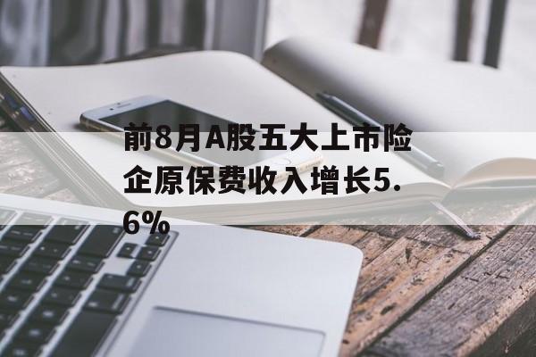 前8月A股五大上市险企原保费收入增长5.6% 前8月A股五大上市险企原保费收入增长5.6%