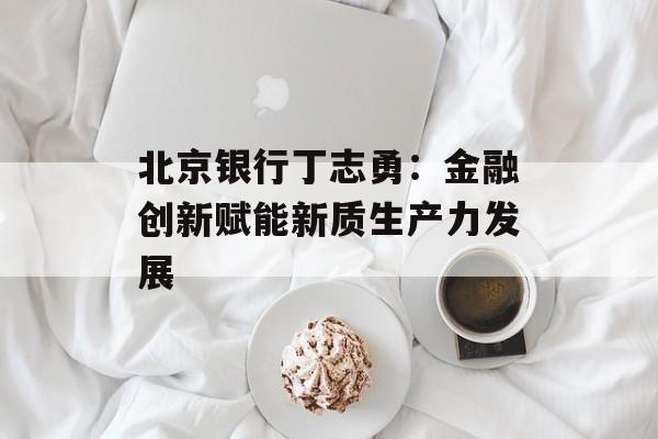 北京银行丁志勇：金融创新赋能新质生产力发展