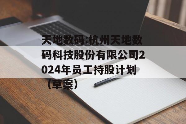 天地数码:杭州天地数码科技股份有限公司2024年员工持股计划（草案）
