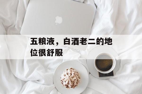 五粮液,白酒老二的地位很舒服 五粮液,白酒老二的地位很舒服