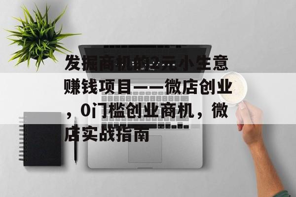 发掘商机的2元小生意赚钱项目——微店创业，0门槛创业商机，微店实战指南